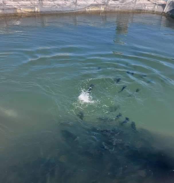 WhatsApp Image 2022 03 12 at 3.10.18 PM fa75e