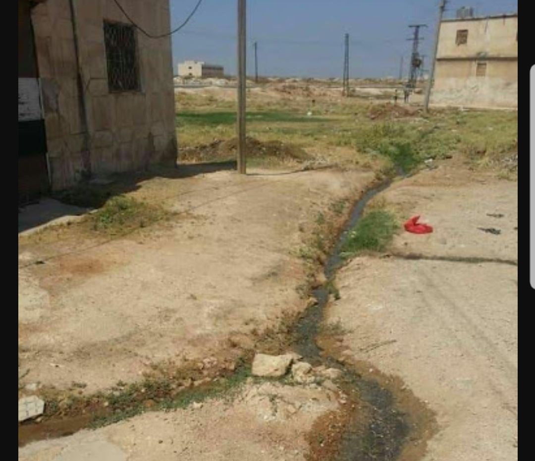 WhatsApp Image 2022 03 12 at 3.13.12 PM 335ef